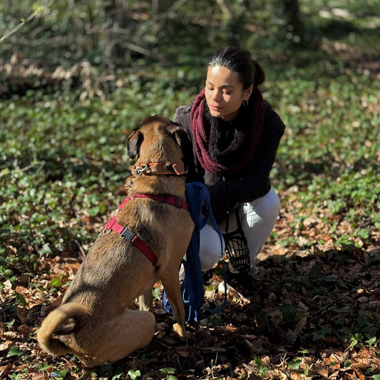 Balade Sophro maître-chien – Apaiser vos émotions, renforcer votre lien
