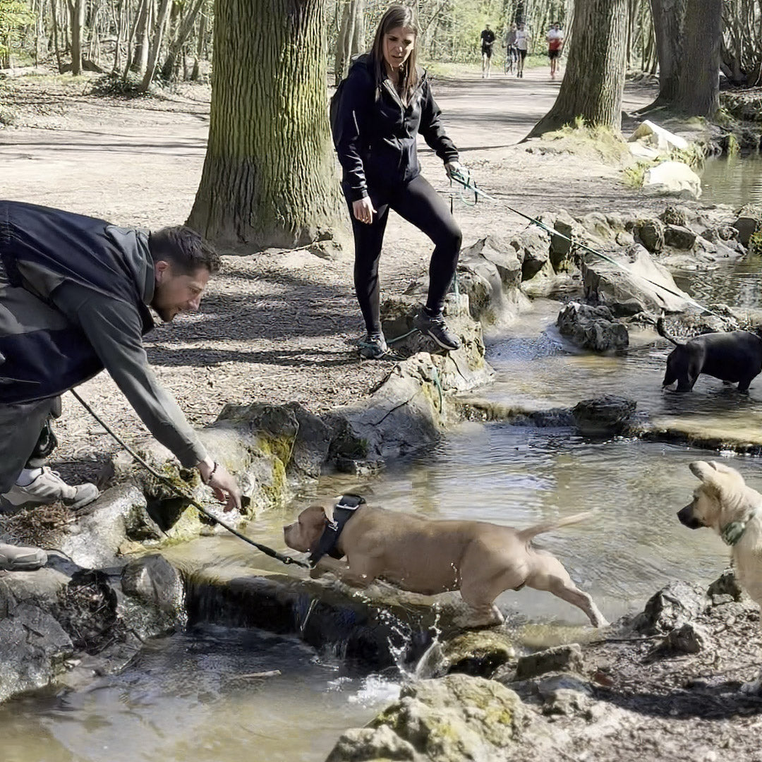 Balade éducative en meute — Bois de Vincennes