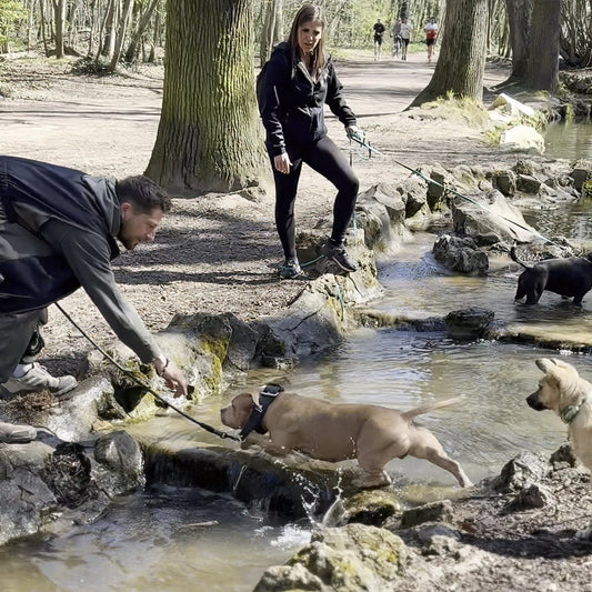 Balade éducative en meute — Bois de Vincennes