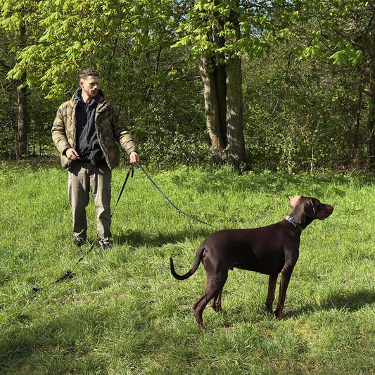 Balade éducative en meute — Bois de Vincennes