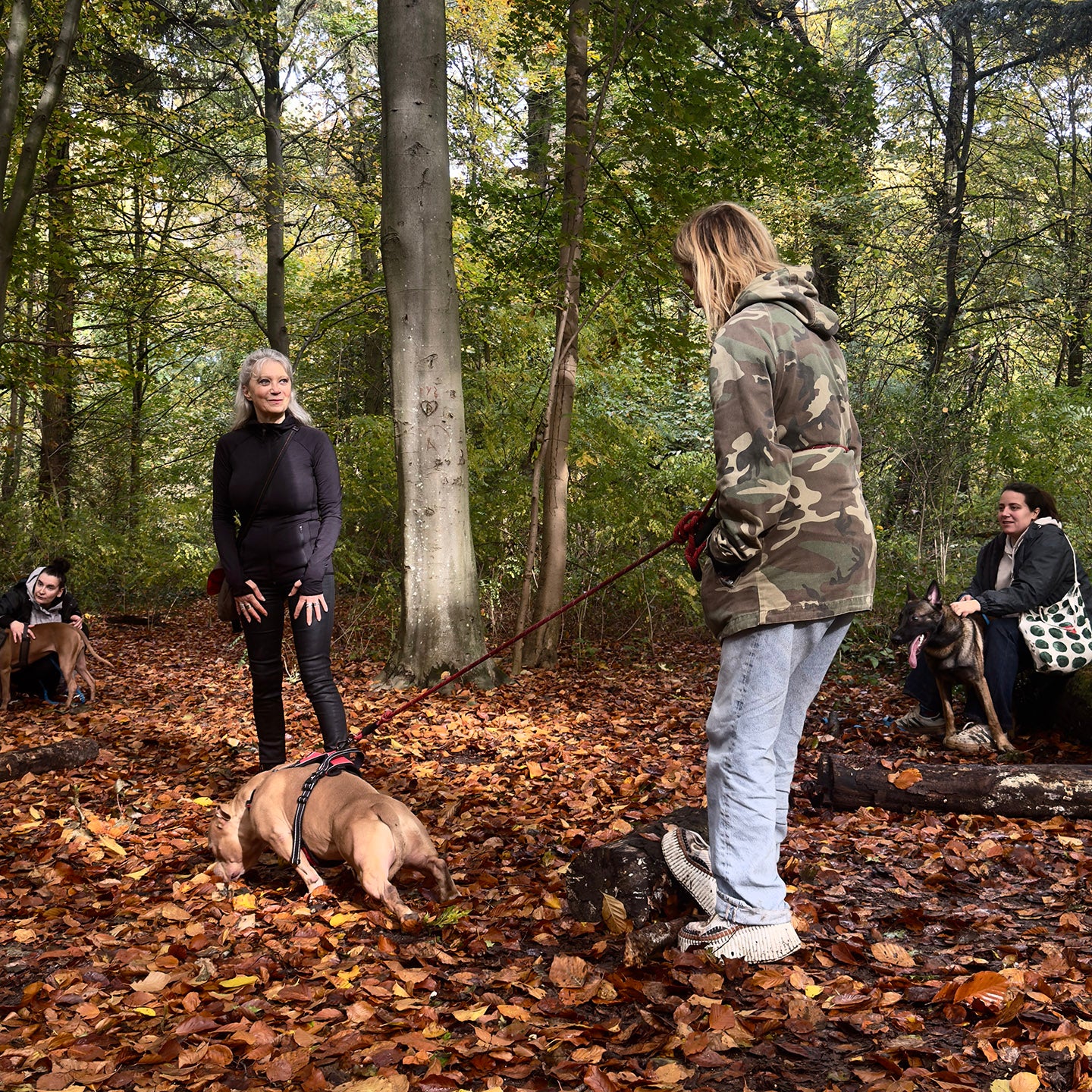 Balade Sophro maître-chien – Apaiser vos émotions, renforcer votre lien