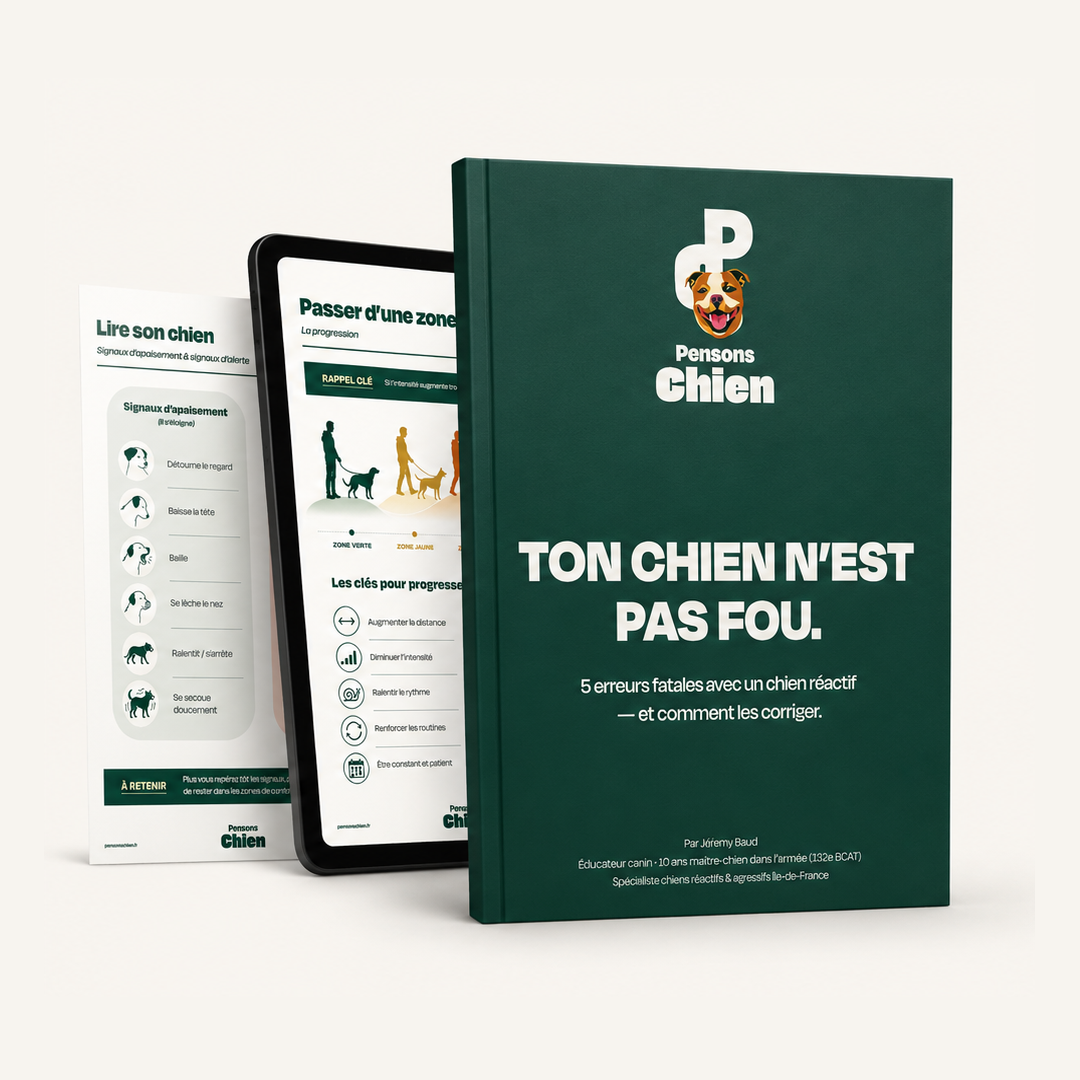 Ton chien n’est pas fou – E‑book pour chiens réactifs (5 erreurs fatales et comment les corriger)