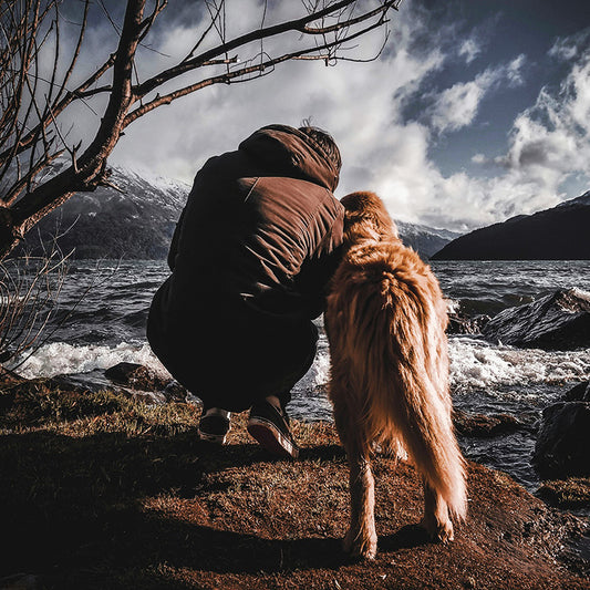 Binôme maître-chien au bord d’un lac en pleine nature, en posture de connexion et de calme, illustrant une balade sophrologique axée sur la synchronisation émotionnelle, la respiration et le lien.