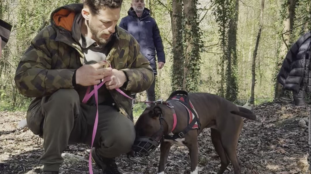 Charger la vidéo : Jeremy Baud lors de cours collectifs pour apprendre à gérer la réactivité du chien